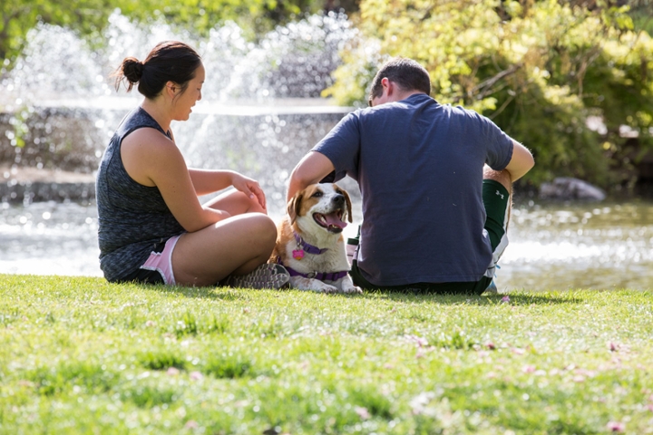 A male and female student sitting at the UNM Duck Pond with petting a dog